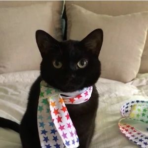 Meet your Posher, Linda